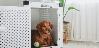 The Importance of Crate Training: Creating a Safe Space for Your Dog Důležitost výcviku v kleci